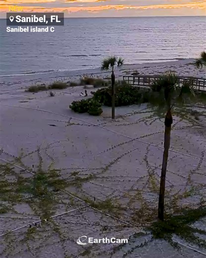 EarthCam and Shalimar Beach Resort have partnered to bring you live views from beautiful Sanibel Island, Florida. Relax as you take in the sandy shoreline and sparkling waters of the Gulf of Mexico. Watch beachgoers stroll along the coast, enjoy the sunshine, and soak up the laid-back atmosphere. Experience the natural beauty and tranquility of Sanibel Island in real time: https://www.earthcam.com/usa/florida/sanibel/shalimarbeach/ | EarthCam