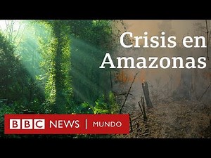 Por qué importa el Amazonas y lo que se sabe sobre cómo empezaron los incendios.