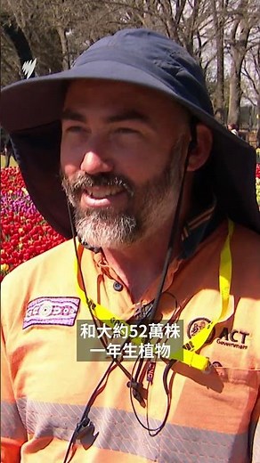 南半球春日盛典：Floriade花卉節綻放坎培拉聯邦公園 | SBS中文