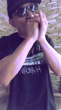 Blues Harmonica Pride And Joy by SRV (Adam Gussow Version)