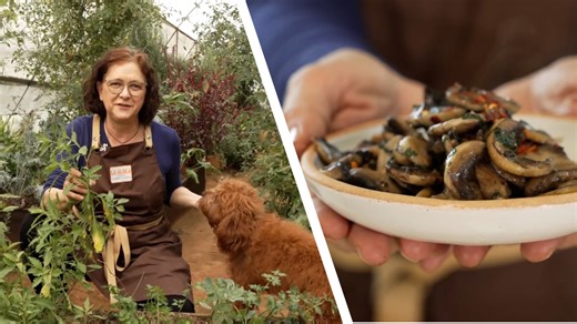 Epazote: uso medicinal y culinario natural