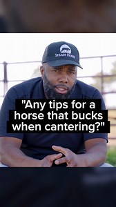 101K views · 2K reactions | Try working on transitions on the ground first to make sure your horse is comfortable going up and down gaits. Then, work on similar transitions under saddle. The more you work on balance, the less likely they'll be to kick out and buck under saddle #horse #horsebackriding #horsebucking #unbalancedhorse #cantertransitions #tipsforhorsebackriding #horsewhobucks #topthreehorserisks | Steady Horse | Facebook