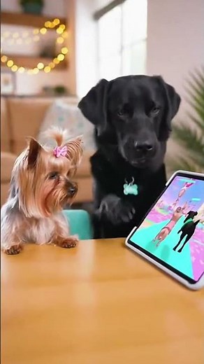 Dog vs Cat on Tablet Game 🎮🐶🐱 | Epic Battle & Funny Reactions