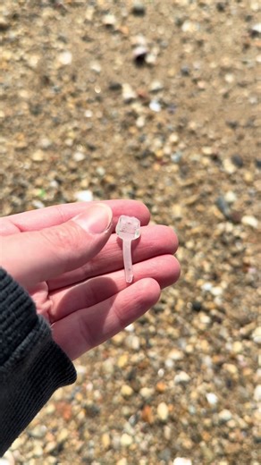 Which find was your favorite because I got spoiled today!!!! #beachcombing #seaglass #beachfinds #seashells