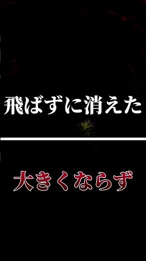 シャボン玉の歌詞と意味