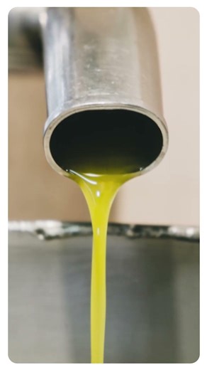 Hydropress (Filter Press): Smart Filtration