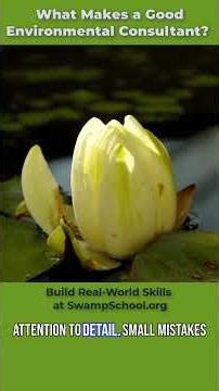 What Makes a Good Environmental Consultant?