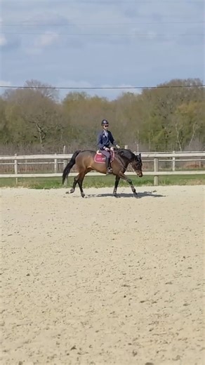 Le programme 30 jours TDSE ⤵ sio.terredesportequestre.com/le-defi #cheval #horse | Terre de Sport Equestre