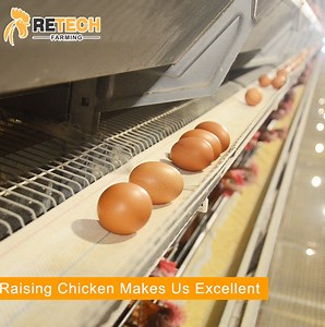 [Hot Item] High Quality Automatic Chicken Egg Poultry Farm Egg Collecting Machine