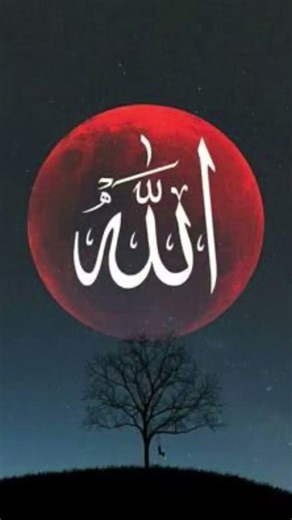 #subscribe #kurban #emotionaldua #allah #islamicvideo #viral #trendingshorts