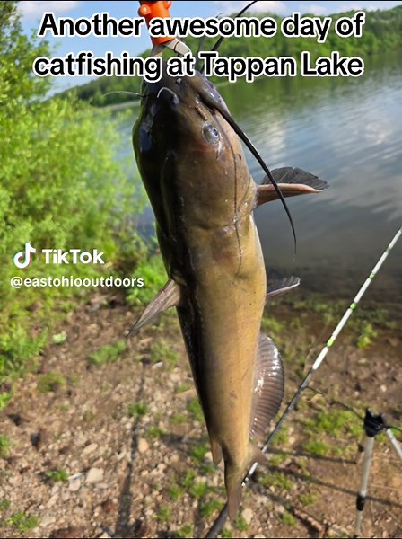 Catfishing Adventure at Tappan Lake
