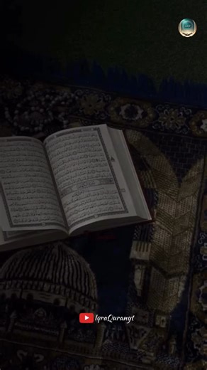 Surah Mulk Ki Fazilat | Islamic Status 🕋✨ #shorts #SurahMulk #IslamicStatus #Fazilat #QuranShorts