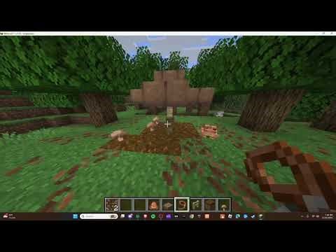 How To Make a Frog House in Minecraft