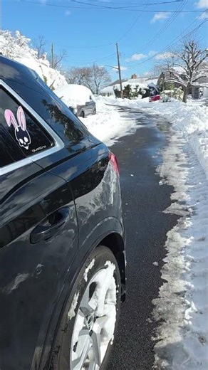 Toyota RAV4 Is Amazing in the Snow… Not! ❄️😆