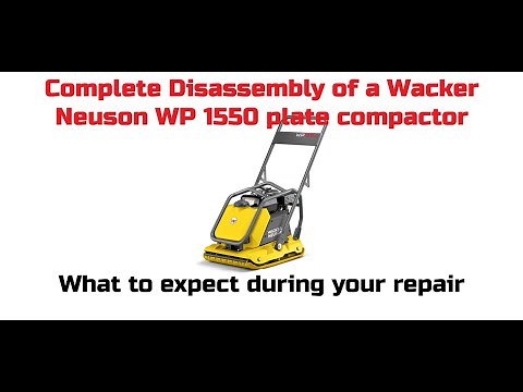 Wacker Neuson 1550 plate compactor teardown and rebuild.