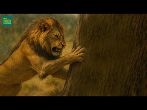 What Do Lions Really Eat? | 6 Wild Facts You Didn’t Know