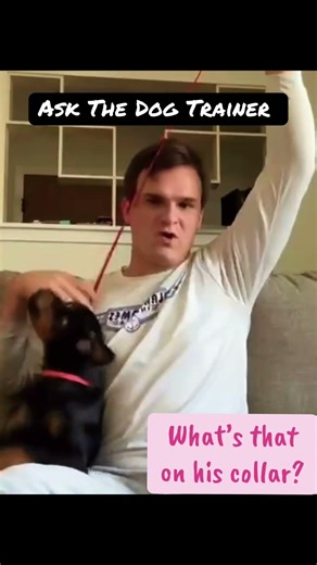 Keychain Dog Leash for Training, Hiking & Off Leash Control — Lightweight & Hands-Free