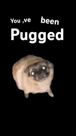 Pugged