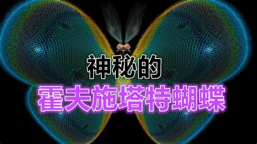 霍夫施塔特蝴蝶：魔角石墨烯里的量子奇观