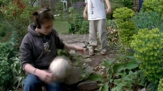 PBS - The Shape Of Life - 3 Of 8 - The First Hunter