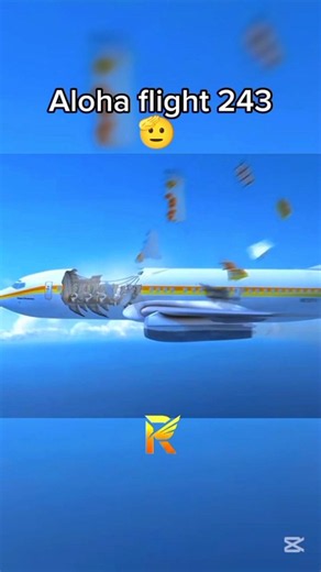Can a plane survive a mid-air breakup? ✈️🤔 #aviation #shorts