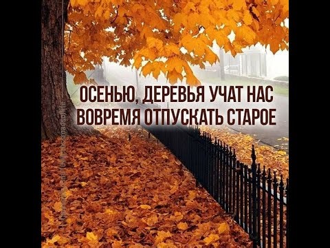 35 день
