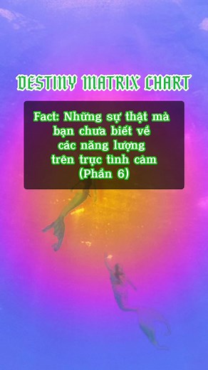 Số 14 trong Matrix Destiny và Tình Yêu