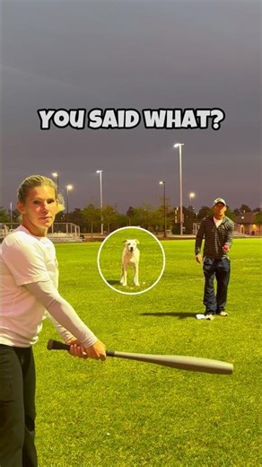 They Said It Didn't Count… Watch What Happened Next 😳 #dog #baseball #shorts