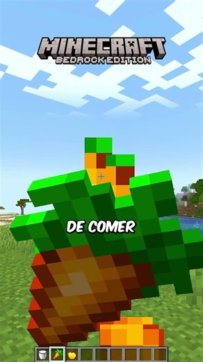 The animations are different in Java and Bedrock!