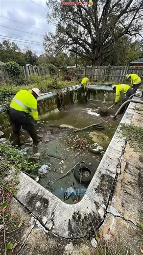 Emergency Pool Cleanup Before VIP Visit | Shocking Speed! ⚡ #shortsfeed #facts