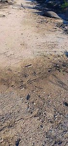 Elena Art и Ivo Smart отново в екип! Супер лудо преживяване... цялата съм в синини, но влязох във филма... победихме! Изкефихме се и разпуснахме :) Обичам рокли и токчета, маникюр и грим, но също толкова обичам и дивото в мен. | Elena Art