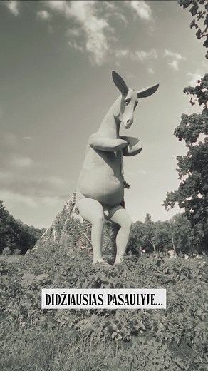 World's Biggest Donkey at Flower Festival in Pakruojis Manor, Lithuania!