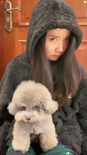 These dogs should be in bts like animals 😅♥️🫶🏼