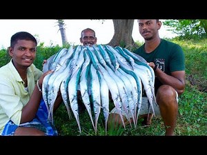KING of GARFISH Recipe | Grandpa Cooking Garfish Recipe | Seafood Recipes | Fish Curry Village Food