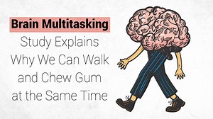 Brain Multitasking Study Explains Why We Can Walk and Chew Gum at the Same Time