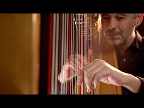 Bach's Lute Prelude in C Minor arr for Harp - Josh Layne