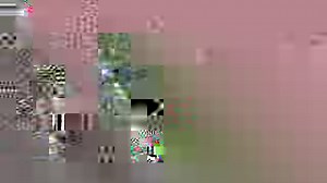 372K views · 6.5K reactions | Get outta the way! Corey Anderson, who turns 27 today, showed how hard he can hit the ball against Sri Lanka at #CWC15! | ICC - International Cricket Council | Facebook