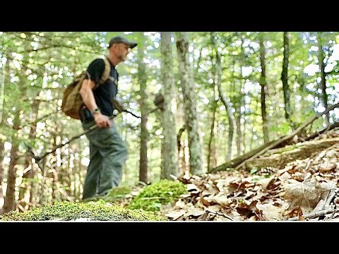 This place gave me the creeps today knowing people lived here