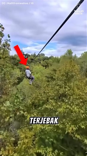 TERJEBAK DITENGAH FLYING FOX