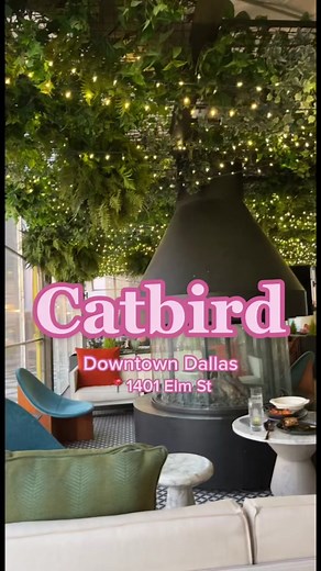 Catbird: Dallas Rooftop Dining with Stunning Night Views