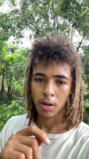 Learn How to Prepare Arrowroot for a Delicious Jamaican Recipe!