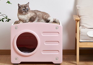 Watch Cat Cube Cave Cat Beds for Indoor Cats Waterproof Cat House on Amazon Live
