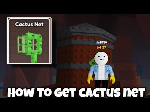 How to Get Cactus Net in Catch Bugs Roblox | cactus net