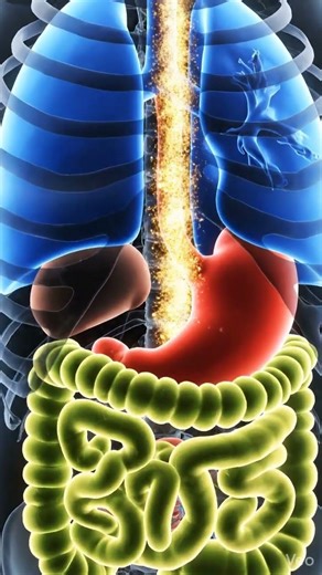 Eating Tofu Every Day? Here’s What It REALLY Does to Your Body!