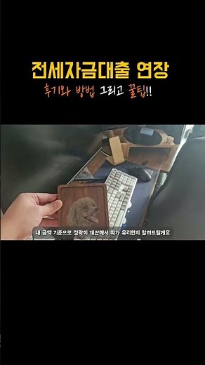 전세대출연장 방법과 후기 그리고 꿀팁 #버팀목전세자금대출연장 #대출연장 #smartphone #지원금 #지원금 #전세대출연장