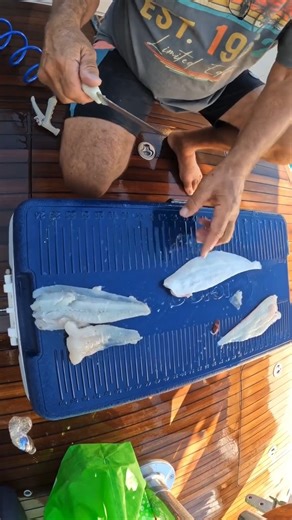 9.1K views · 83 reactions | How to Fillet a Halibut - Part 4 Are you...