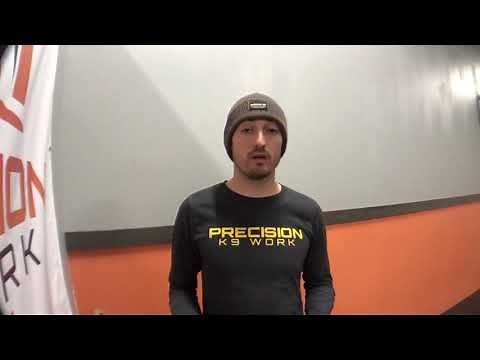 Blind dog training - training with a blind dog