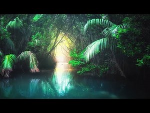 6 Hours of Relaxing Sleep Music: Soothing Harp Music, Fall Asleep Fast, Sleeping Music ★80