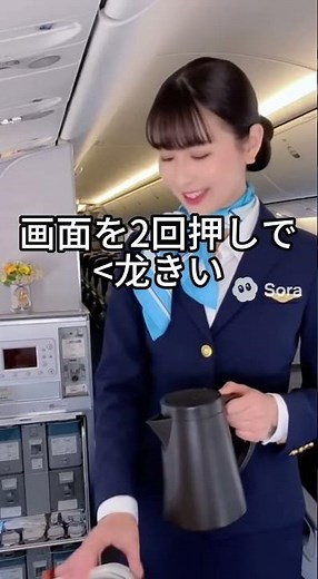 機内食配布・機内案内・緊急時対応：飛行中の CA の忙しい日常#CA の日常#機内サービス#飛行中の働き#お客様への心遣い#機内準備#安全を守る