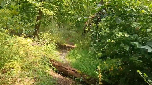 26K views · 482 reactions | History on the predecessor to Rt 57 on the east side of Hackettstown NJ. Many recognize the old stone arch seen here. | Metrotrails | Facebook